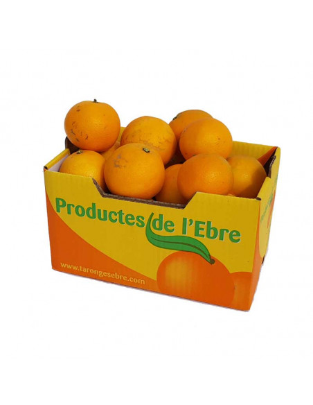Naranjas 15Kg ECO