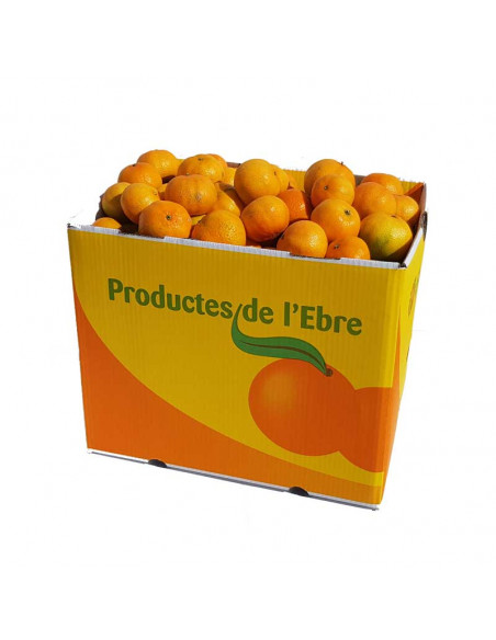 Mandarines 20Kg ecològiques