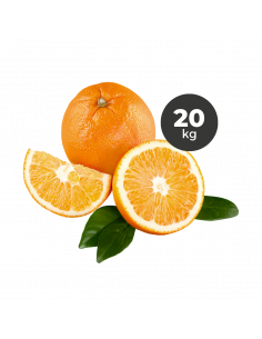 Naranjas 20Kg ECO