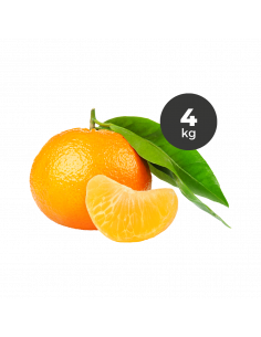 Mandarines 4Kg ECO